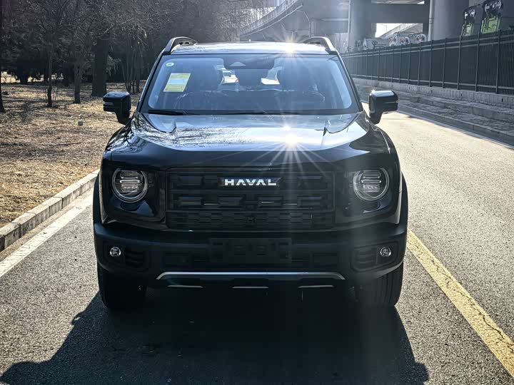 Фото 2 - Haval Dargo