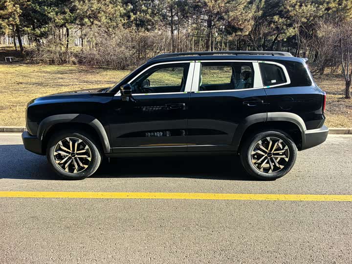 Фото 4 - Haval Dargo