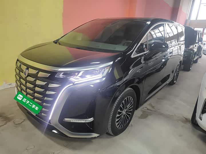 Фото 1 - Denza D9