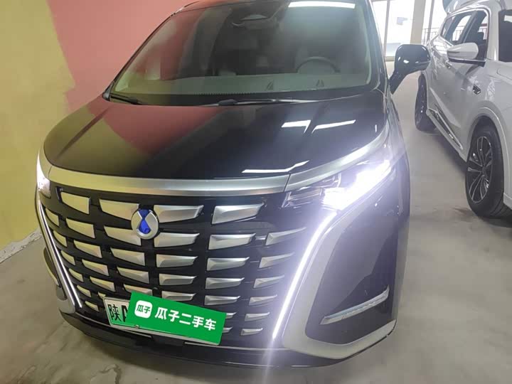 Фото 3 - Denza D9