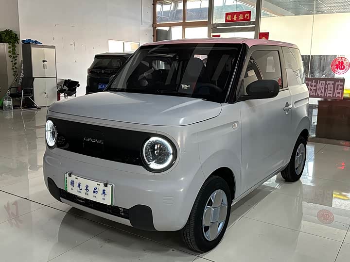 Фото 1 - Geely Galaxy Panda Mini