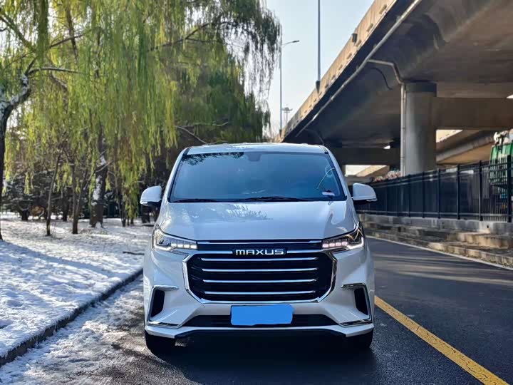 Фото 2 - Maxus G20