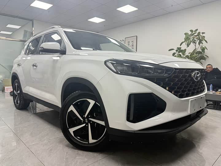 Фото 2 - Hyundai ix35 (Mufasa)