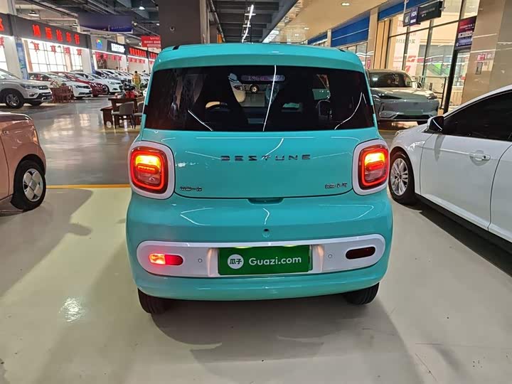 Фото 6 - Bestune Pony