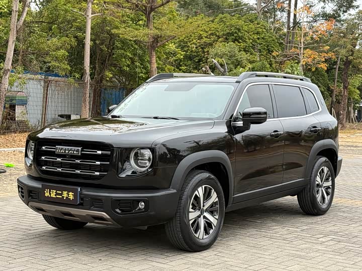 Фото 1 - Haval Dargo