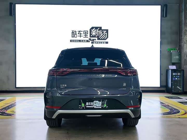 Фото 5 - BYD Tang Hybrid/EV