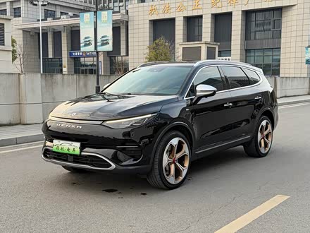 Фото 1 - Denza X