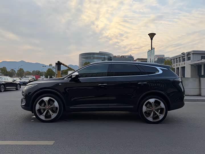 Фото 4 - Denza X