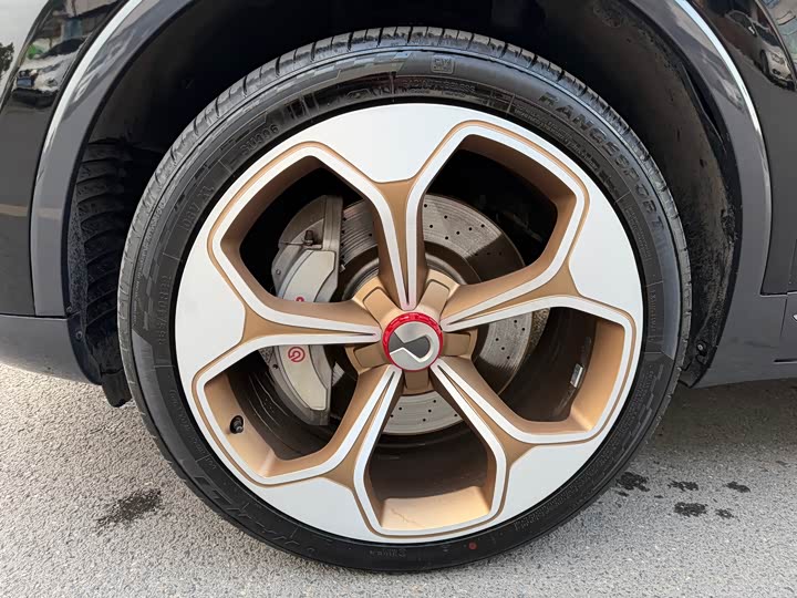 Фото 5 - Denza X