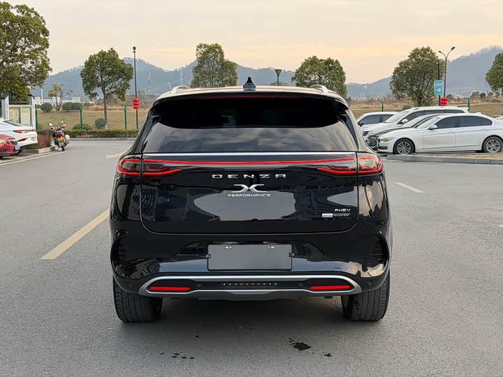 Фото 6 - Denza X