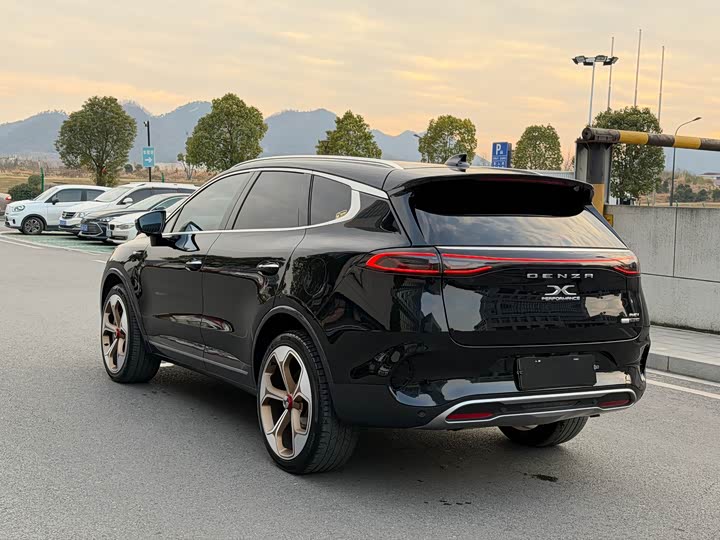 Фото 8 - Denza X