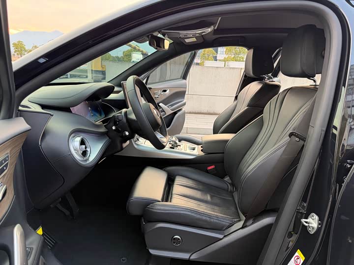 Фото 9 - Denza X