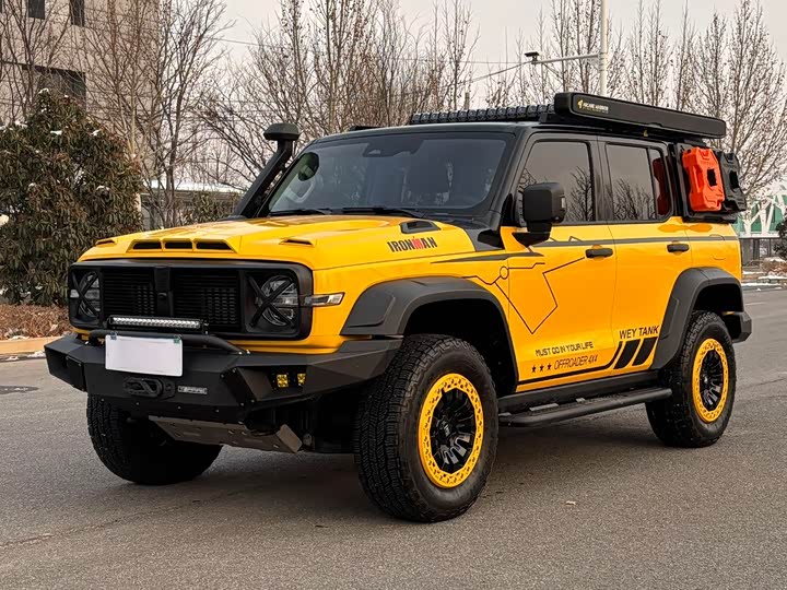 Фото 1 - Tank 300