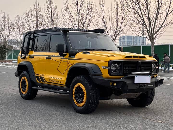 Фото 3 - Tank 300