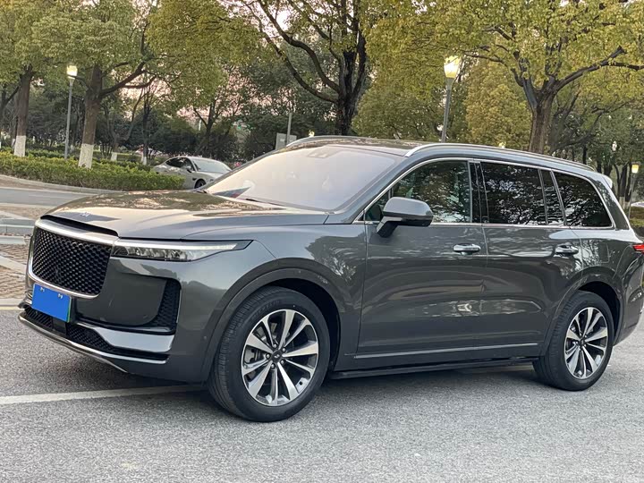 Фото 1 - LiXiang One