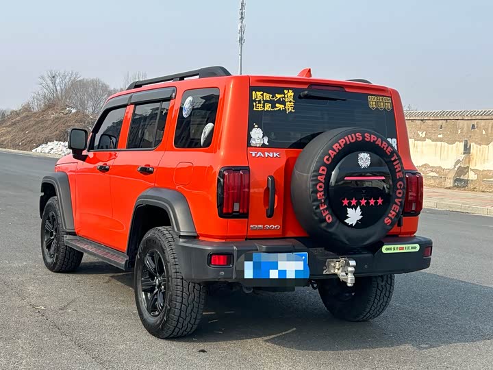 Фото 4 - Tank 300