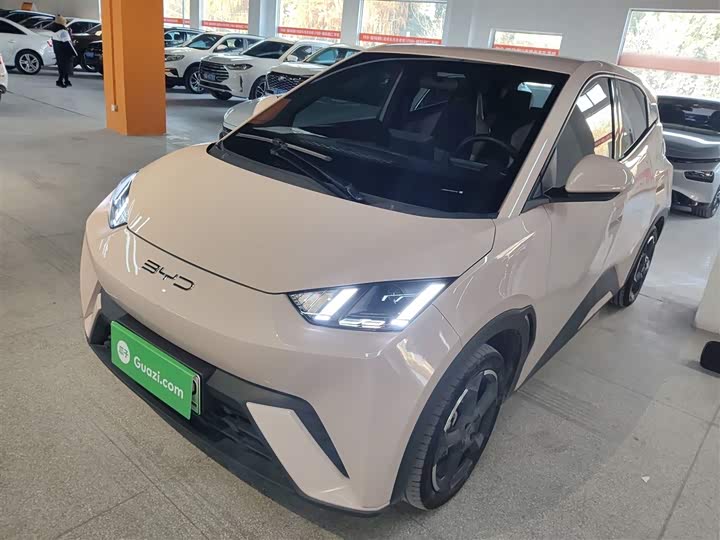 Фото 1 - BYD Seagull