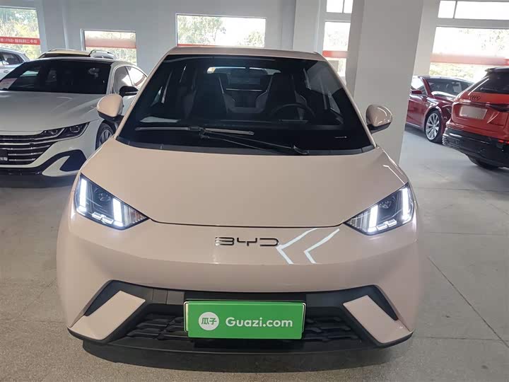 Фото 3 - BYD Seagull