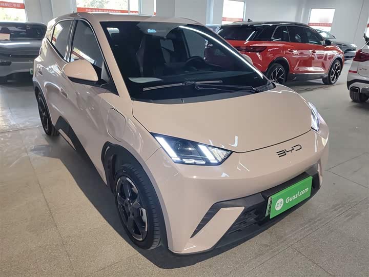 Фото 4 - BYD Seagull