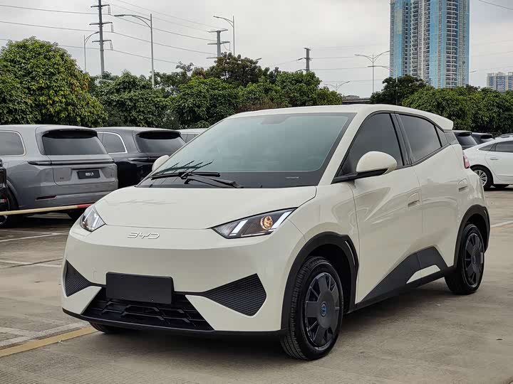 Фото 1 - BYD Seagull