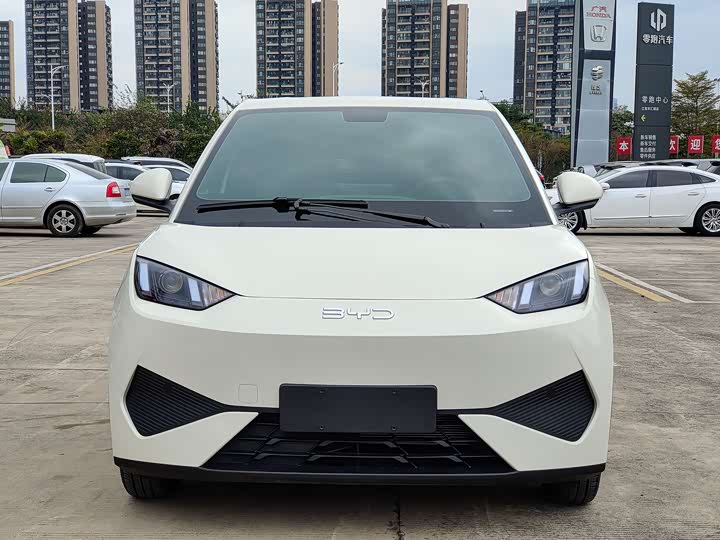 Фото 2 - BYD Seagull