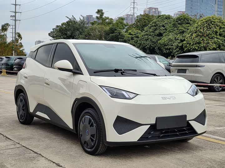 Фото 3 - BYD Seagull