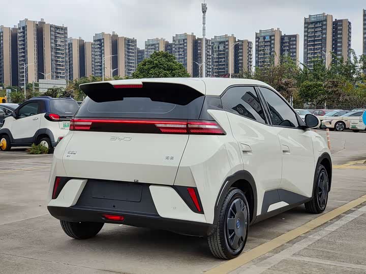 Фото 7 - BYD Seagull