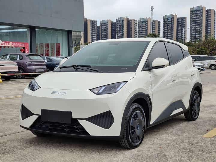 Фото 8 - BYD Seagull