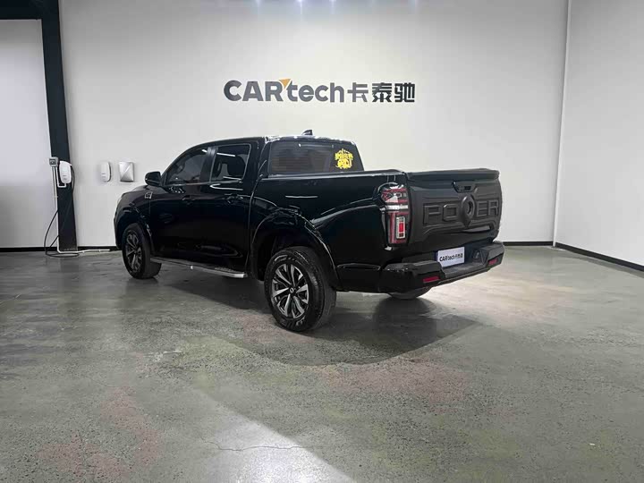 Фото 4 - Great Wall Pao