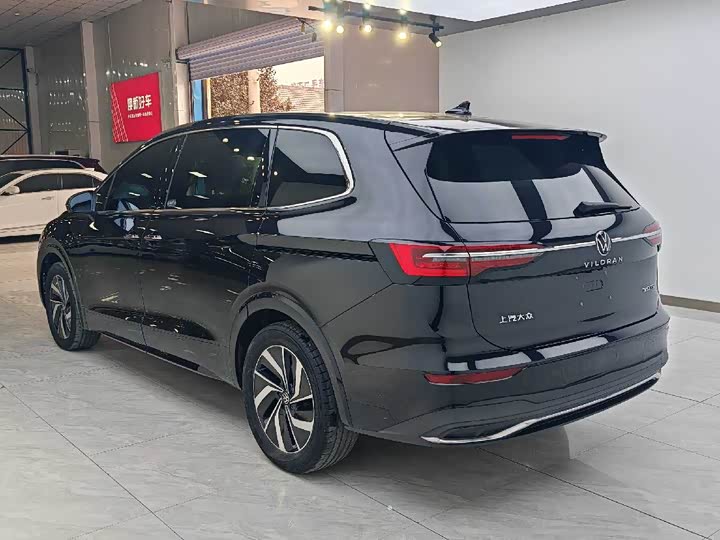 Фото 4 - Volkswagen Viloran