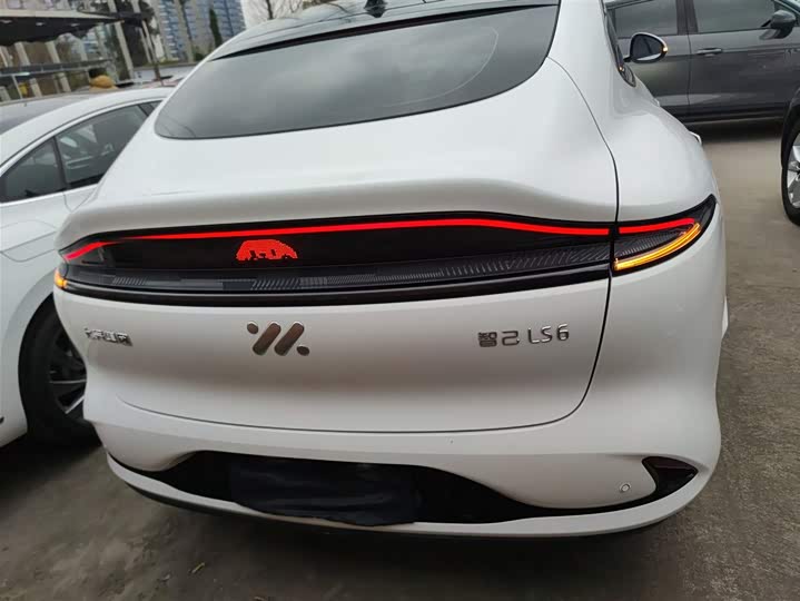 Фото 6 - IM motors LS6