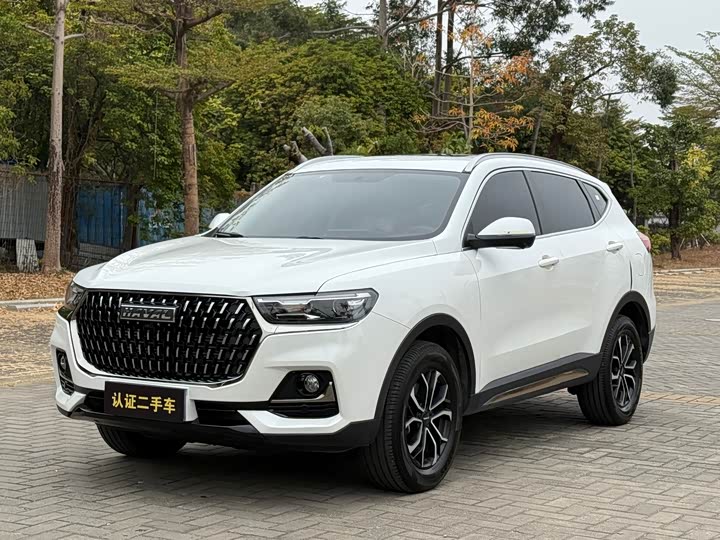 Фото 1 - Haval H6