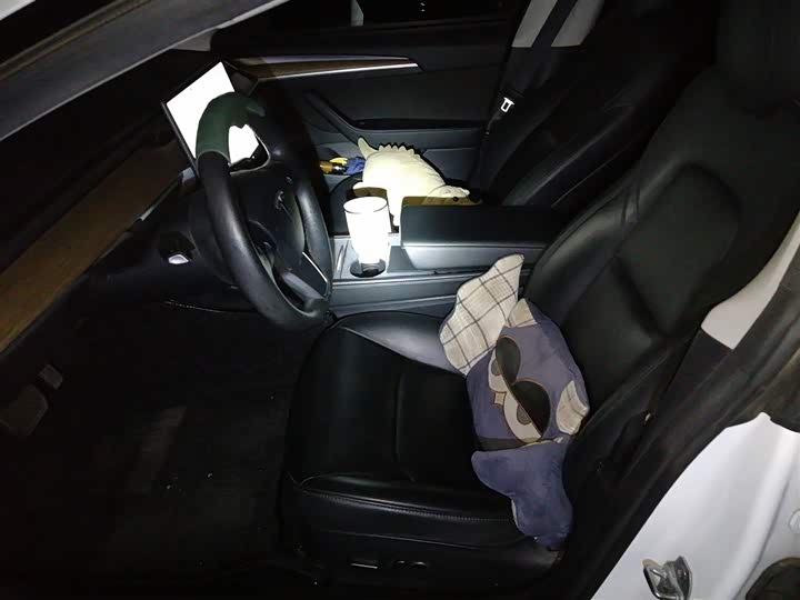 Фото 8 - Tesla Model 3