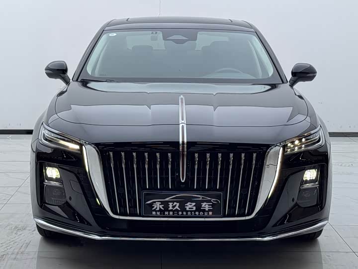 Фото 3 - Hongqi H5