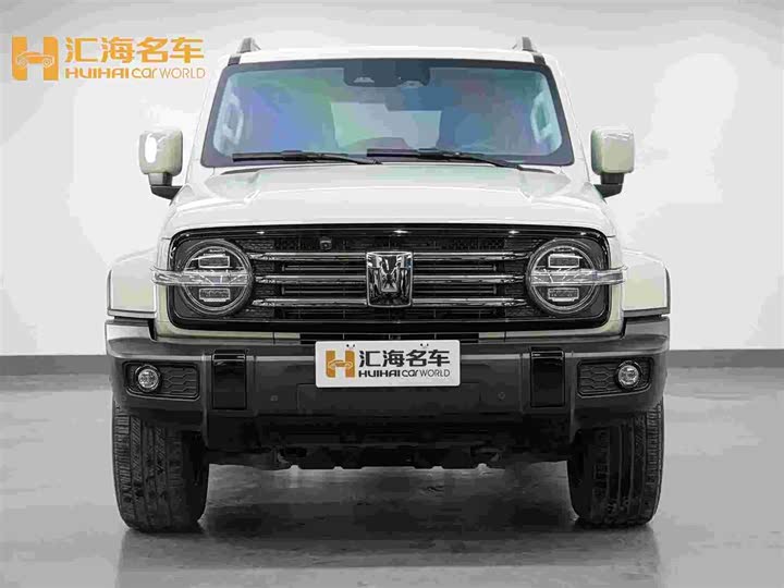 Фото 3 - Tank 300