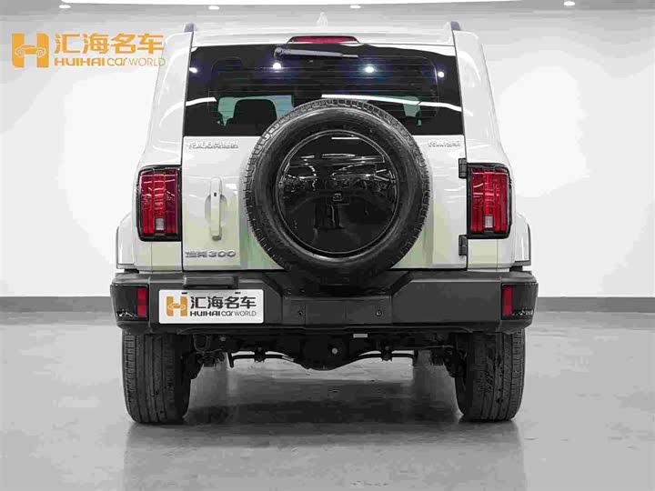 Фото 5 - Tank 300