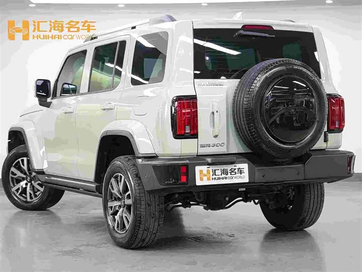 Фото 6 - Tank 300