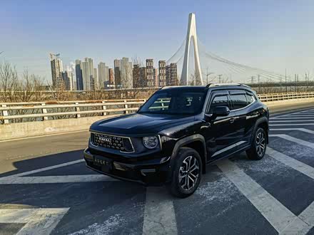 Фото 1 - Haval H-Dog