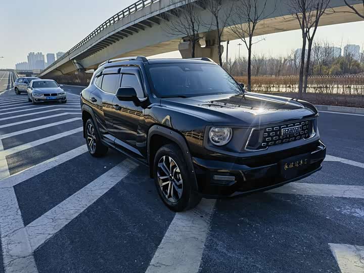 Фото 3 - Haval H-Dog