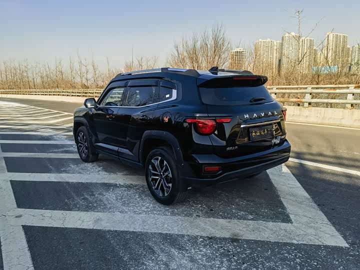 Фото 4 - Haval H-Dog