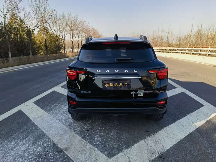 Фото 5 - Haval H-Dog