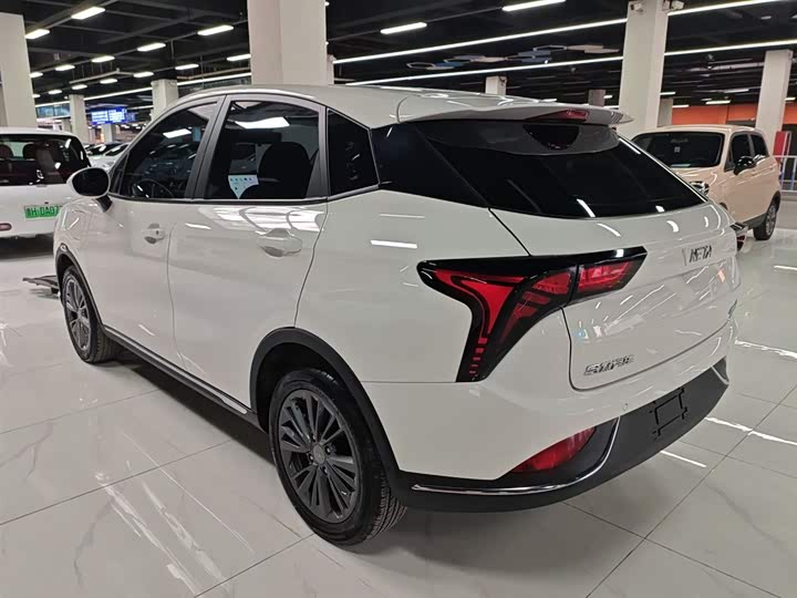 Фото 5 - Hozon V