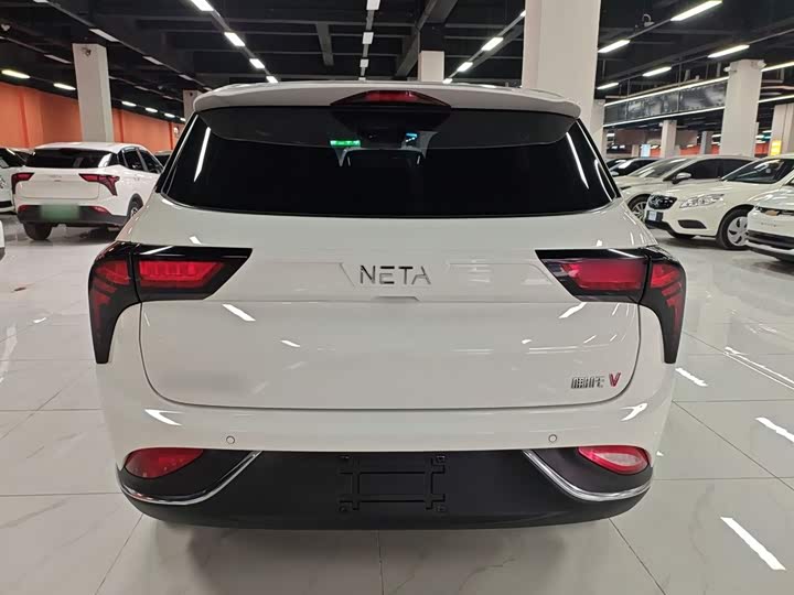 Фото 6 - Hozon V