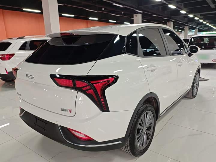 Фото 7 - Hozon V