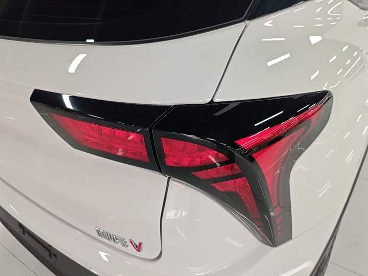 Фото 8 - Hozon V