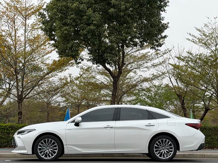 Фото 9 - Toyota Avalon