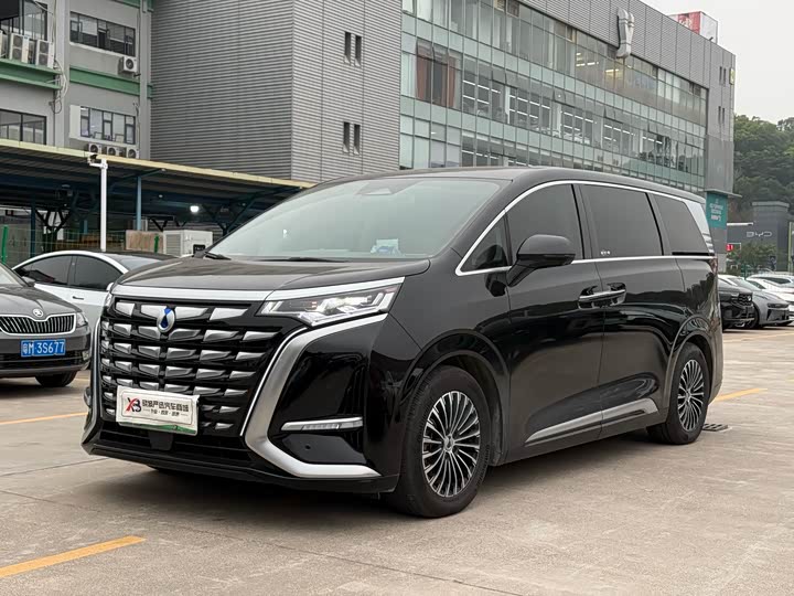 Фото 1 - Denza D9