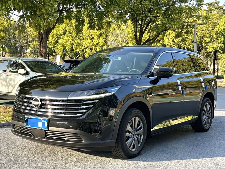 Фото 1 - Nissan Pathfinder