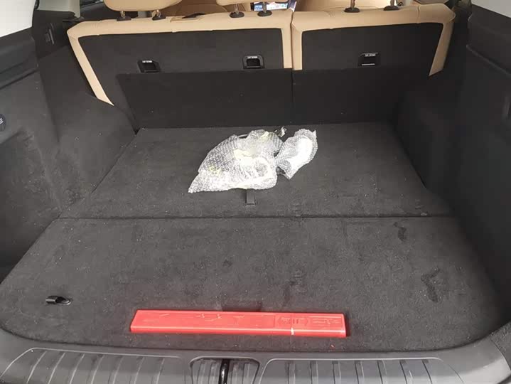 Фото 4 - Exeed Sterra ET