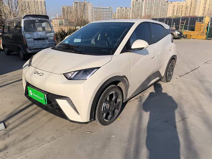 Фото 1 - BYD Seagull